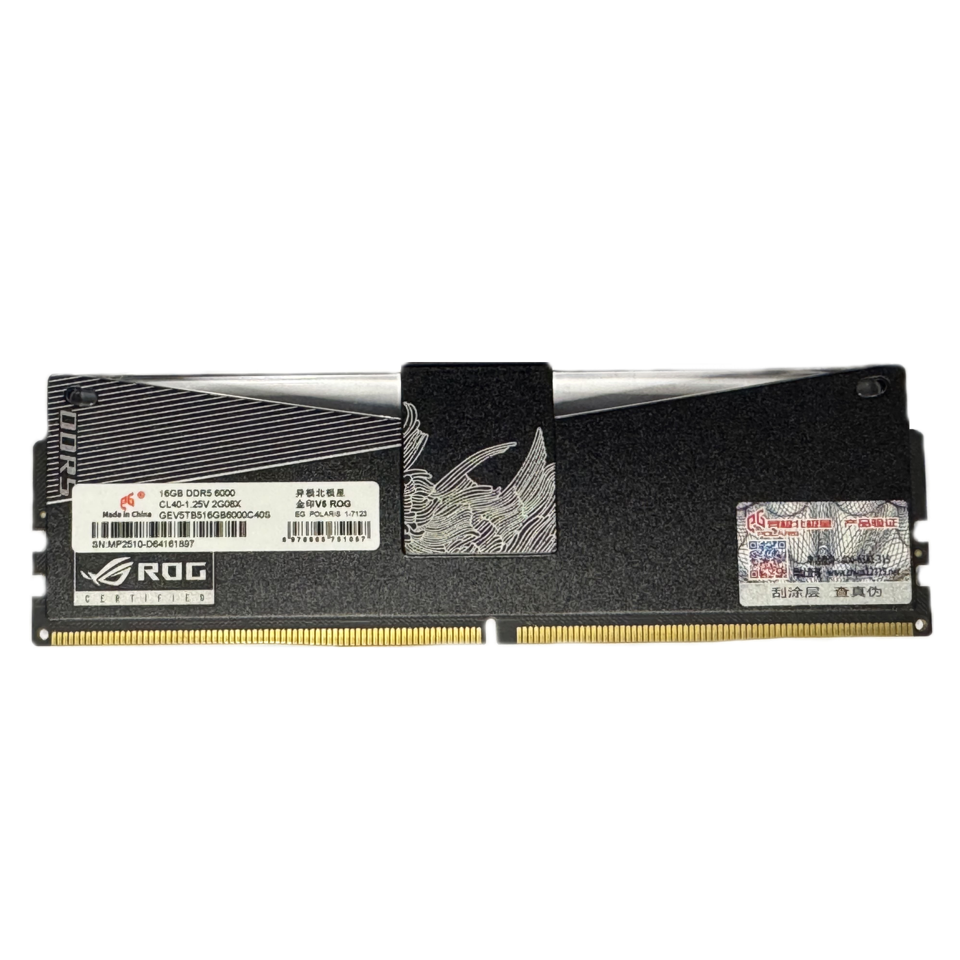 EpicGear 16GB (1×16GB) DDR5 6000MHz Desktop RAM – Black